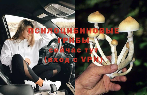 соль курить ск Гусиноозёрск