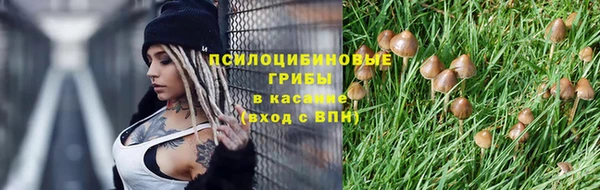 мяу мяу мука Дмитров