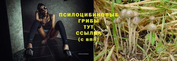 мяу мяу мука Дмитров