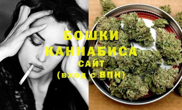 прущая мука Дмитриев